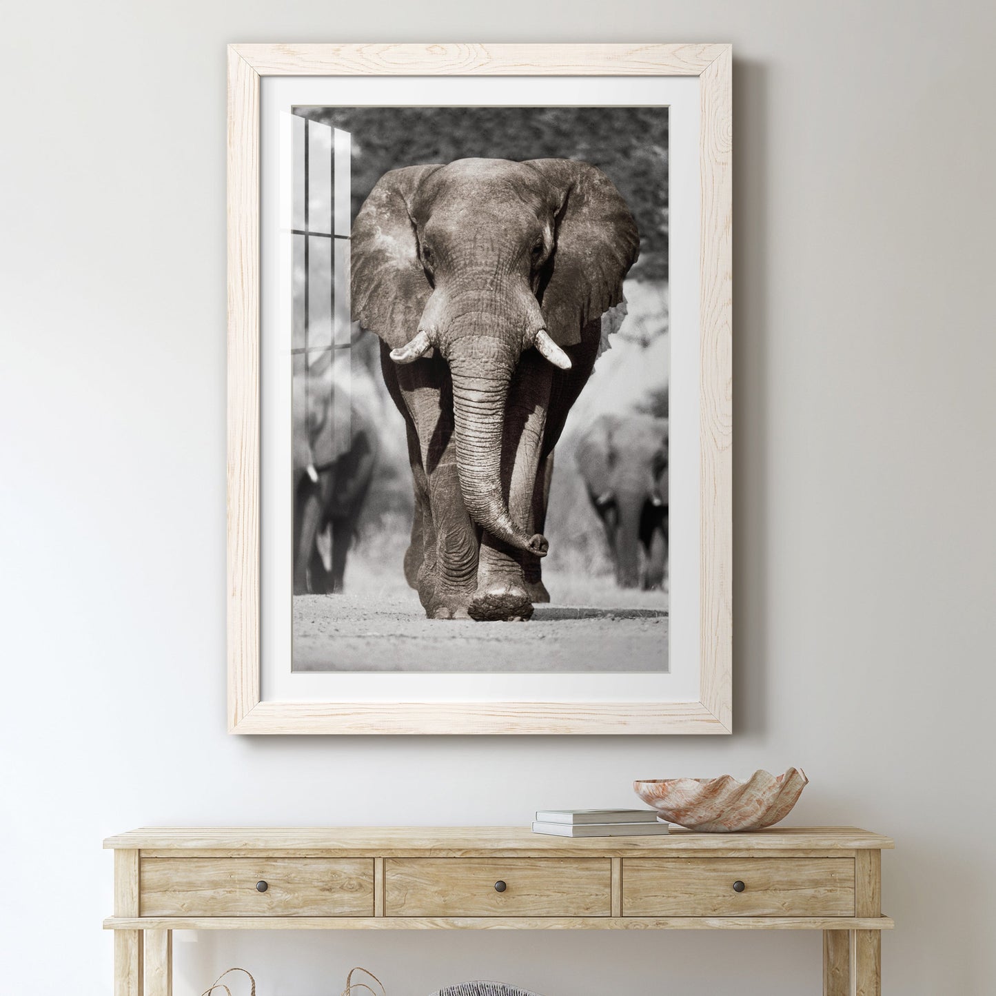 Botswana Patriarch - Premium Framed Print - Distressed Barnwood Frame - Ready to Hang