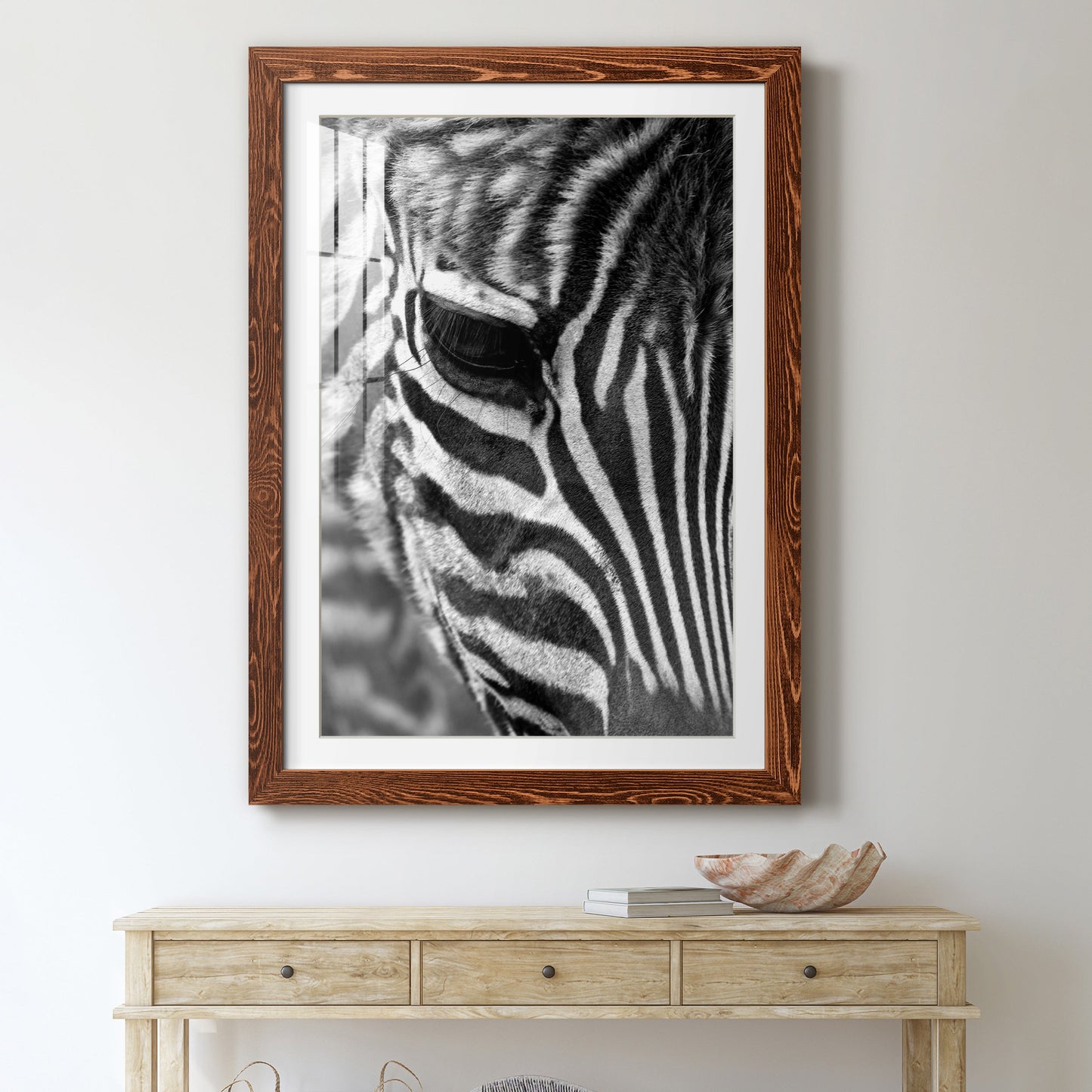 Zebra Colt - Premium Framed Print - Distressed Barnwood Frame - Ready to Hang