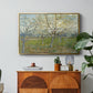 The Pink Orchard, 1888 - Floater Framed Canvas Print