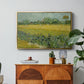 Field with Irises near Arles, 1888 - Floater Framed Canvas Print