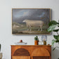 A Border Leicester Ewe, c. 1795-1800 - Floater Framed Canvas Print