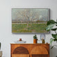 Orchard in Blossom (Plum Trees), 1888 - Floater Framed Canvas Print