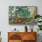 The Garden of Saint-Paul Hospital, 1889 - Floater Framed Canvas Print