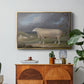 A Border Leicester Ewe, c. 1795-1800 - Floater Framed Canvas Print