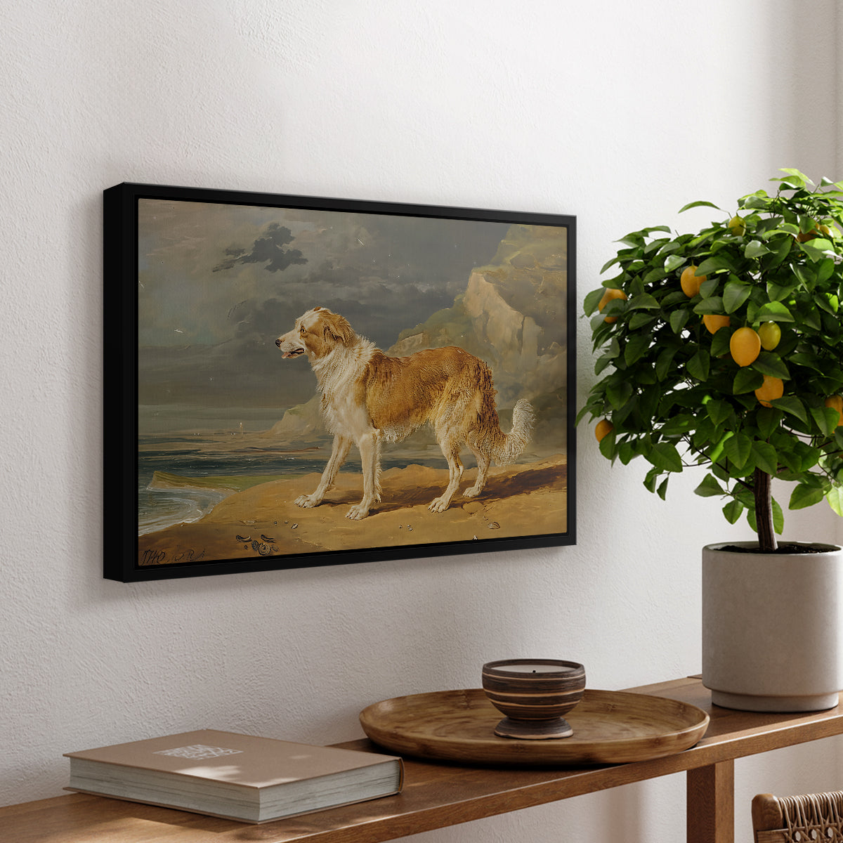 Rough-Coated Collie, 1809 - Floater Framed Canvas Print