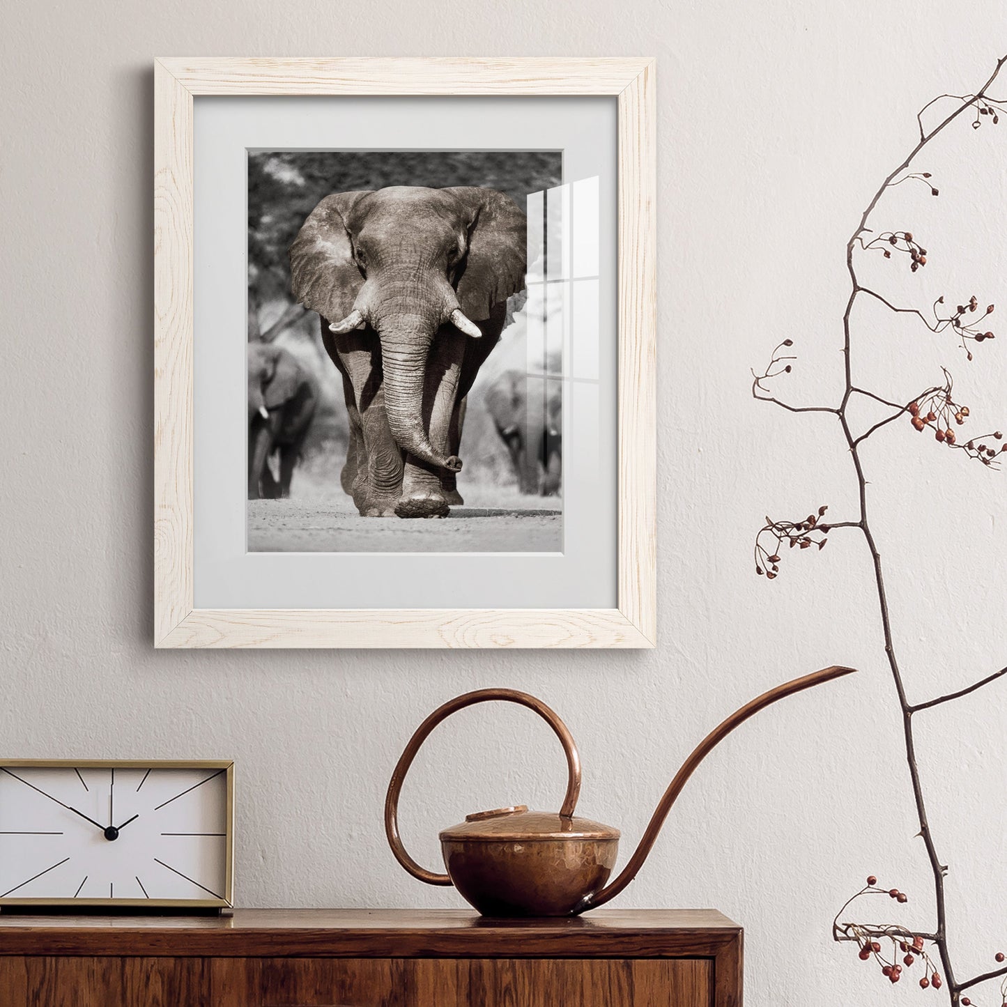 Botswana Patriarch - Premium Framed Print - Distressed Barnwood Frame - Ready to Hang