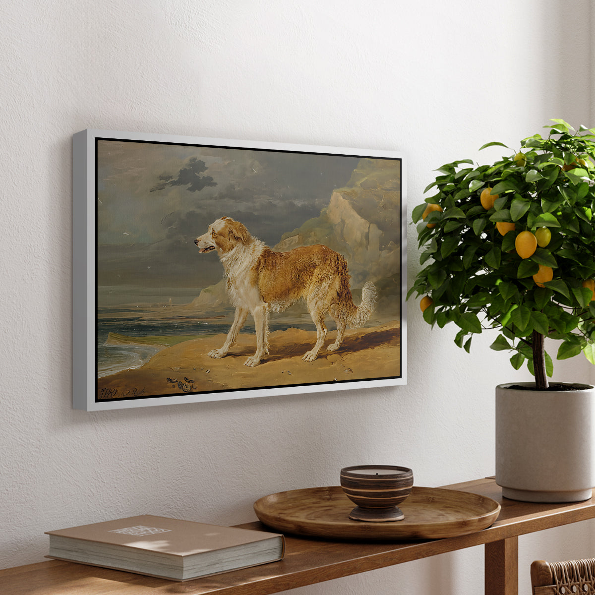 Rough-Coated Collie, 1809 - Floater Framed Canvas Print