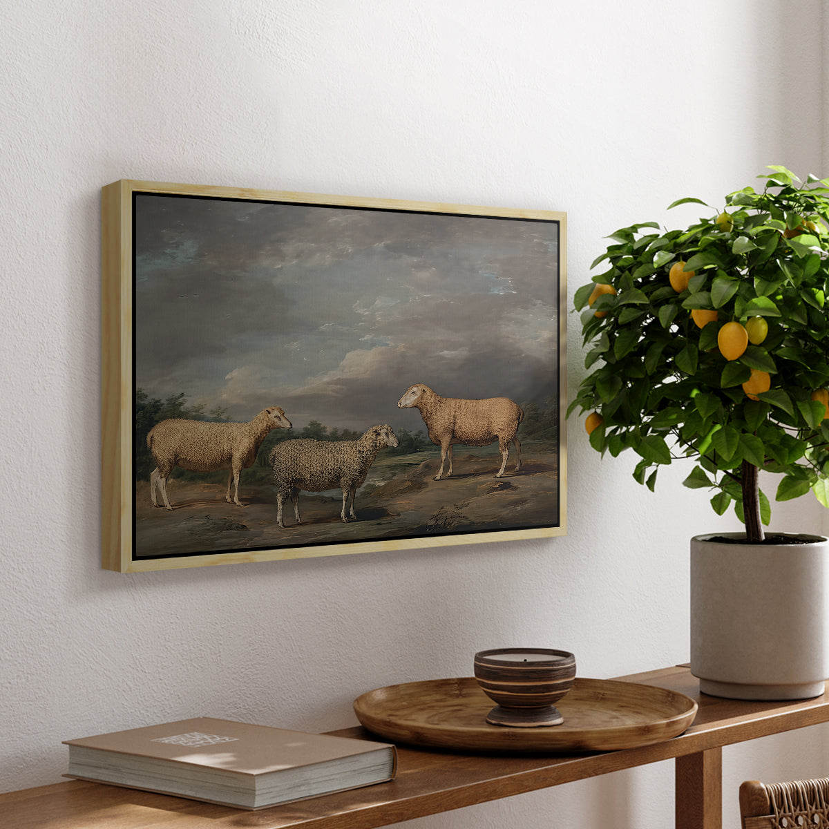 Ryelands Sheep, the King's Ram, the King's Ewe and Lord Somerville's Wether, c. 1801-1807 - Floater Framed Canvas Print