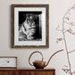 Tiger Repose - Premium Framed Print - Distressed Barnwood Frame - Ready to Hang