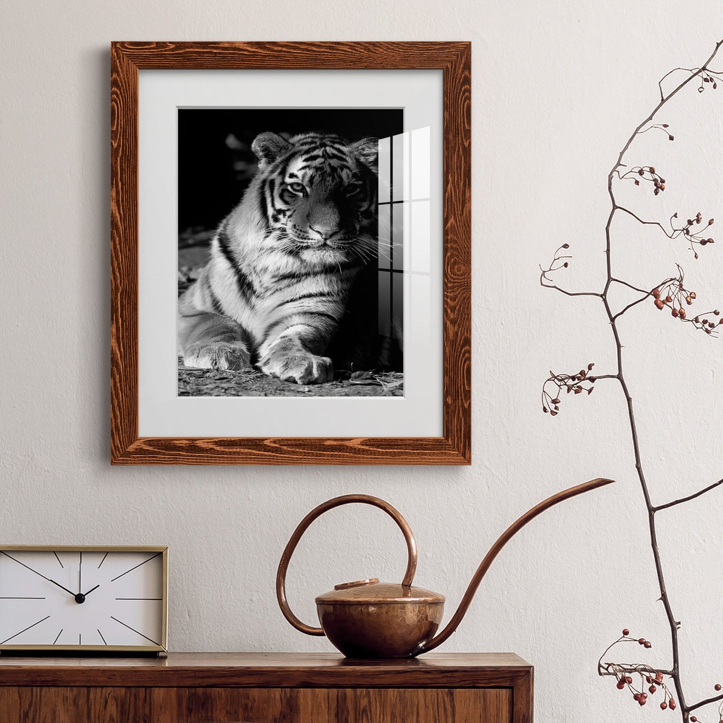 Tiger Repose - Premium Framed Print - Distressed Barnwood Frame - Ready to Hang