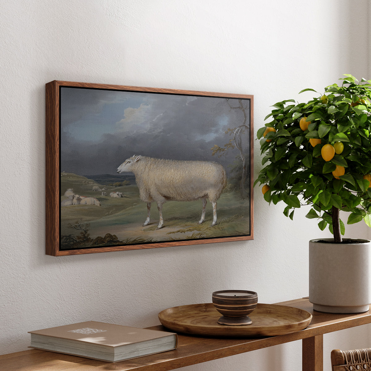 A Border Leicester Ewe, c. 1795-1800 - Floater Framed Canvas Print
