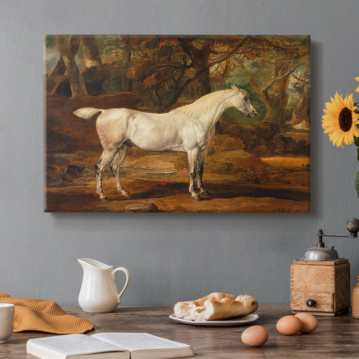Canvas art print featuring a grey Arabian stallion standing in landscape with refined posture, set in a cozy kitchen setting