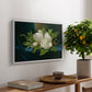 Giant Magnolias on a Blue Velvet Cloth, c. 1890 - Floater Framed Canvas Print