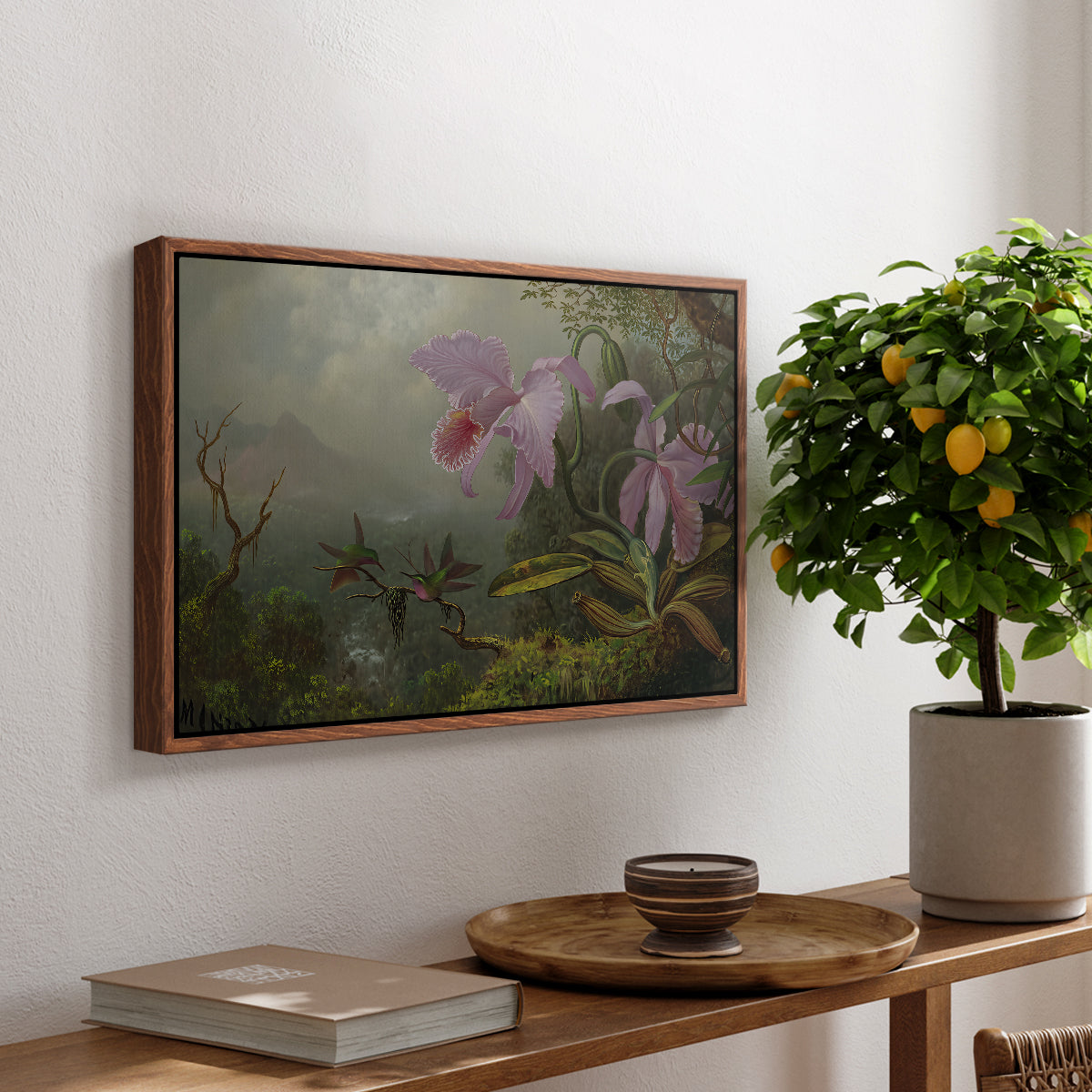 Two Sun Angel Hummingbirds on a Branch, c. 1890-1904 - Floater Framed Canvas Print