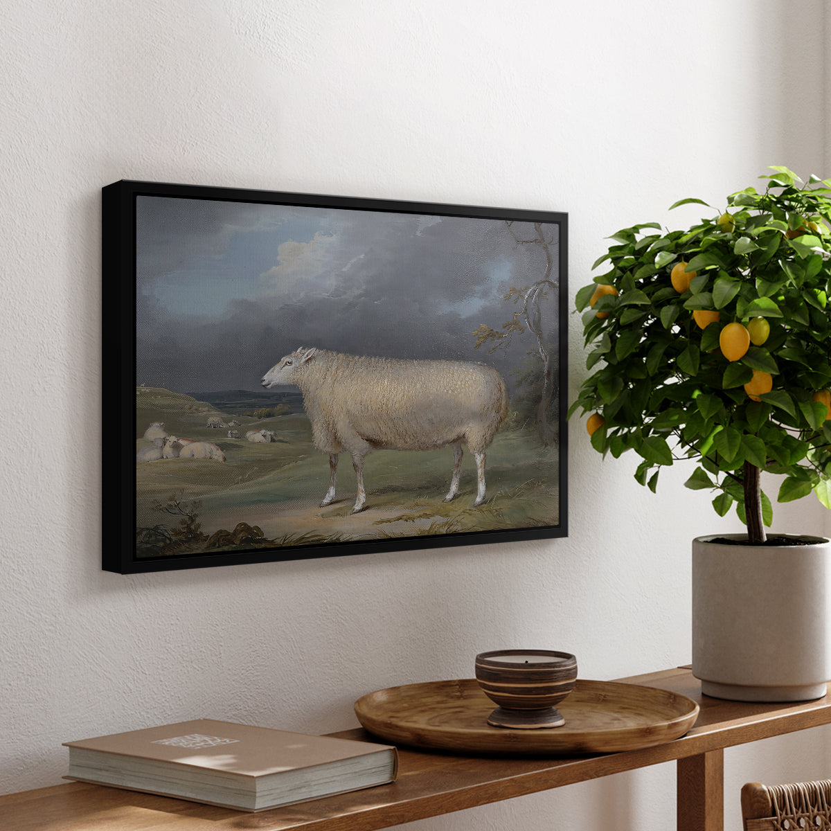 A Border Leicester Ewe, c. 1795-1800 - Floater Framed Canvas Print