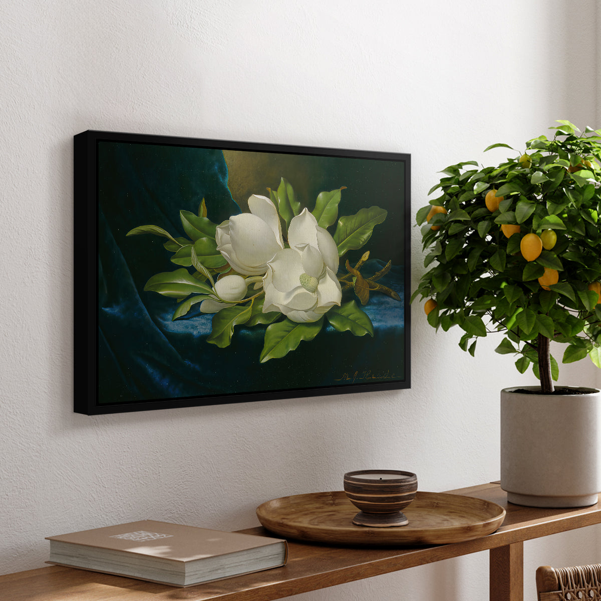 Giant Magnolias on a Blue Velvet Cloth, c. 1890 - Floater Framed Canvas Print