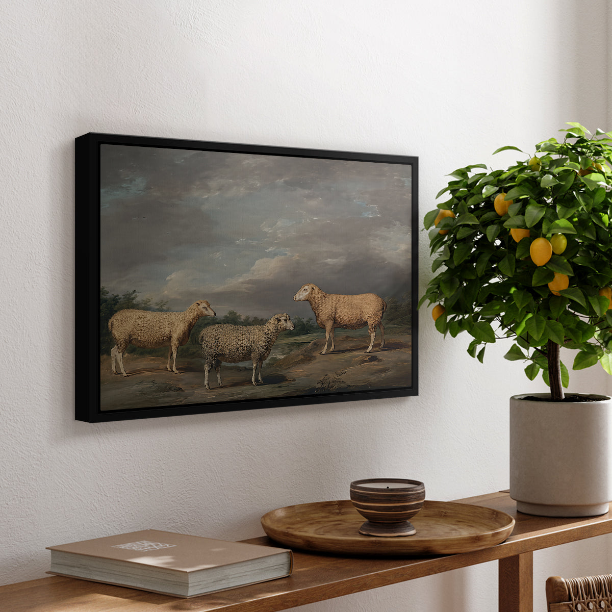 Ryelands Sheep, the King's Ram, the King's Ewe and Lord Somerville's Wether, c. 1801-1807 - Floater Framed Canvas Print
