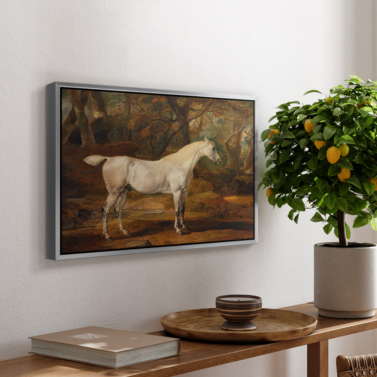 Grey Arabian Stallion, Property of Sir Watkin Williams-Wynn, c. 1817 - Floater Framed Canvas Print