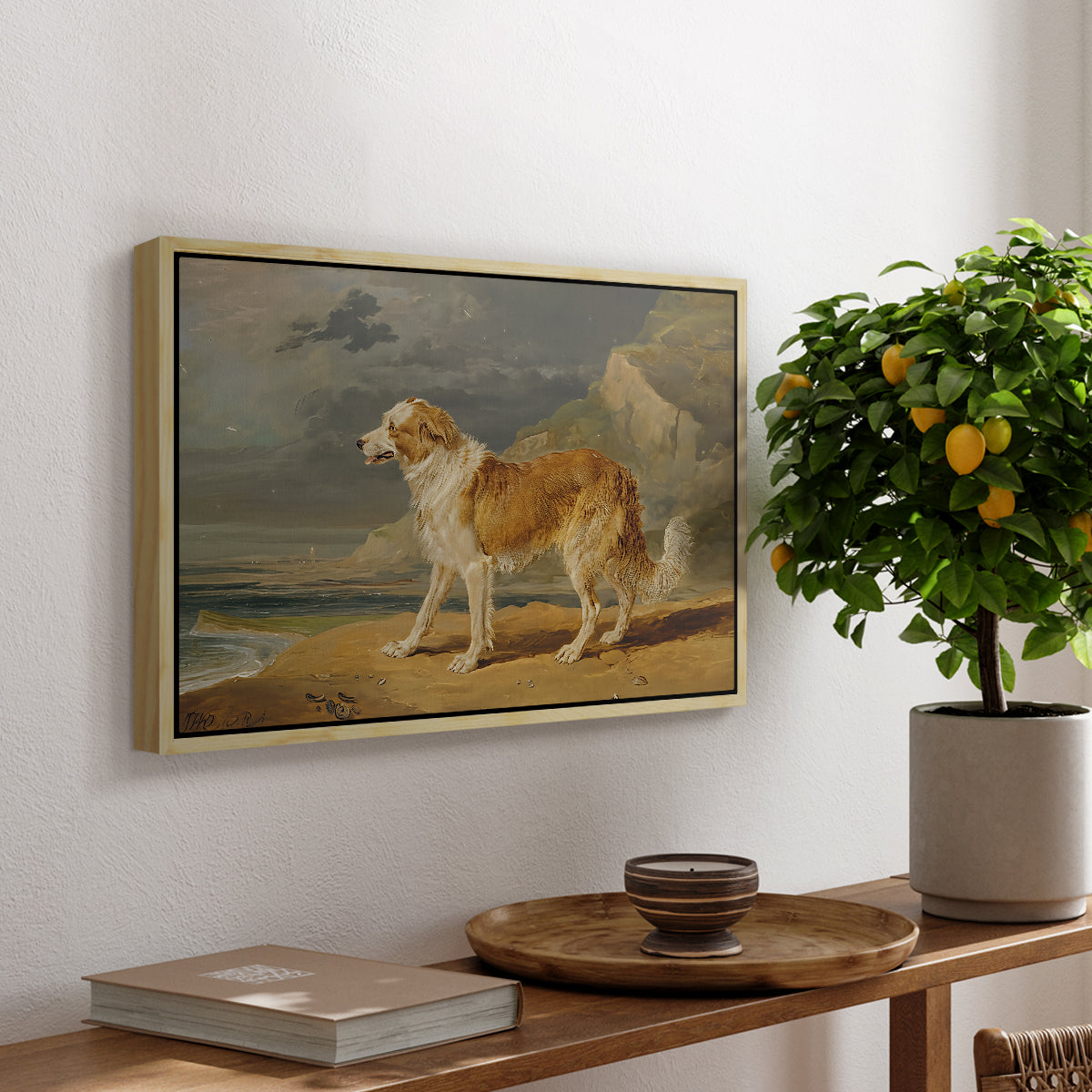 Rough-Coated Collie, 1809 - Floater Framed Canvas Print