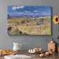 Canvas art print featuring a figure harvesting wheat in expansive field under bright sky, set in a cozy kitchen setting
