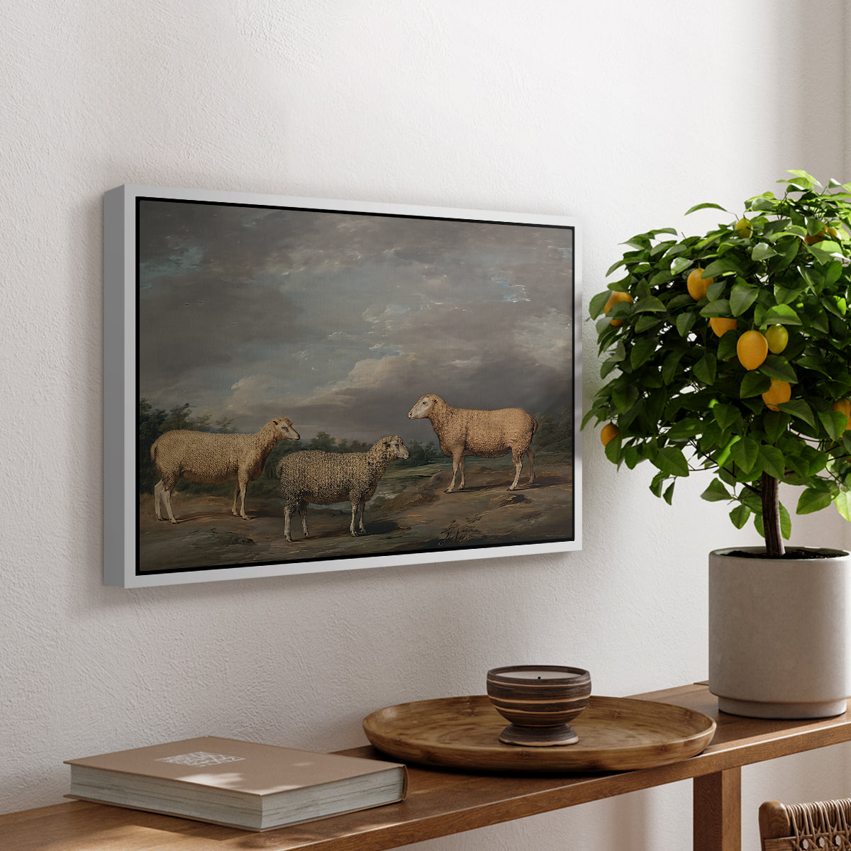Ryelands Sheep, the King's Ram, the King's Ewe and Lord Somerville's Wether, c. 1801-1807 - Floater Framed Canvas Print