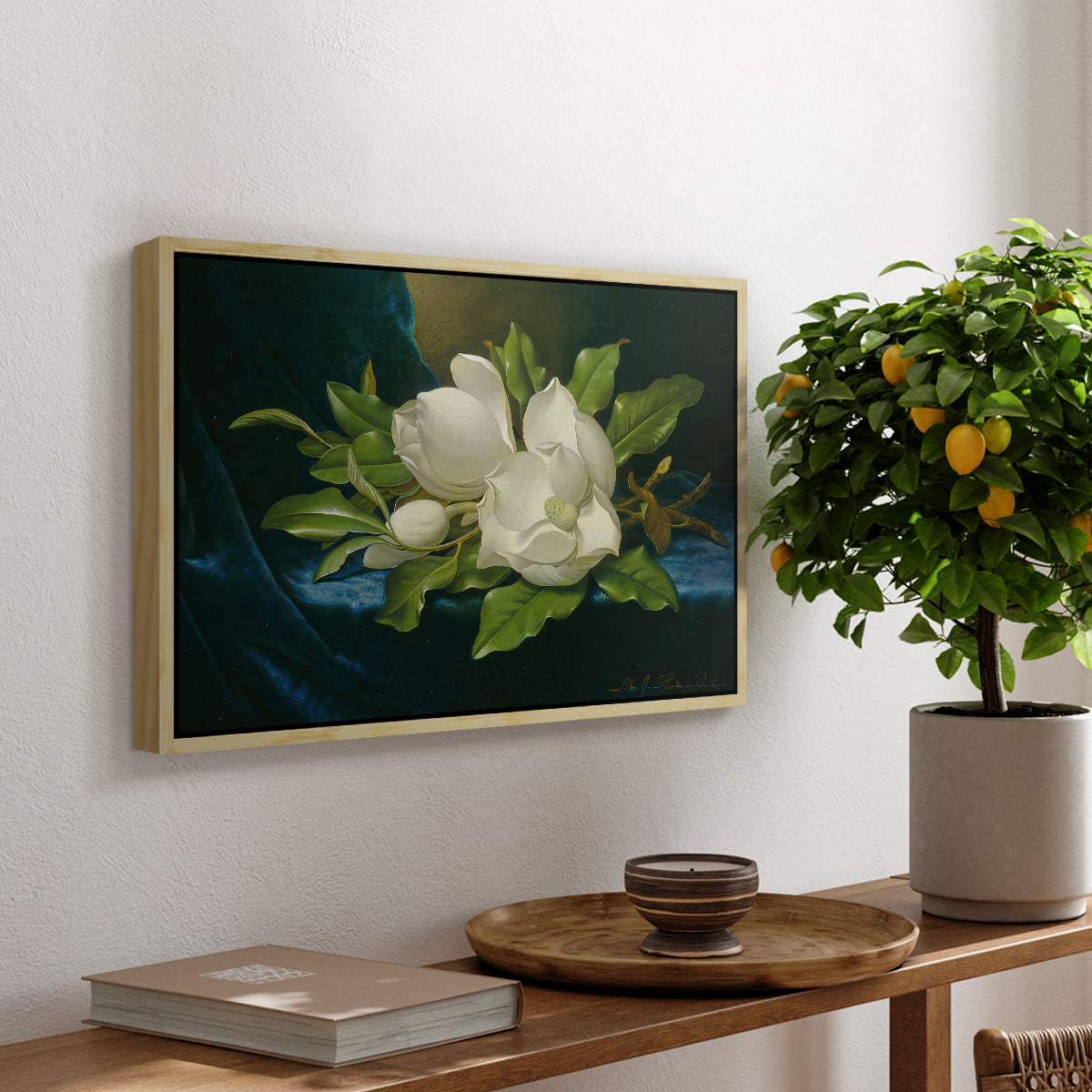 Giant Magnolias on a Blue Velvet Cloth, c. 1890 - Floater Framed Canvas Print