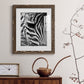 Zebra Colt - Premium Framed Print - Distressed Barnwood Frame - Ready to Hang