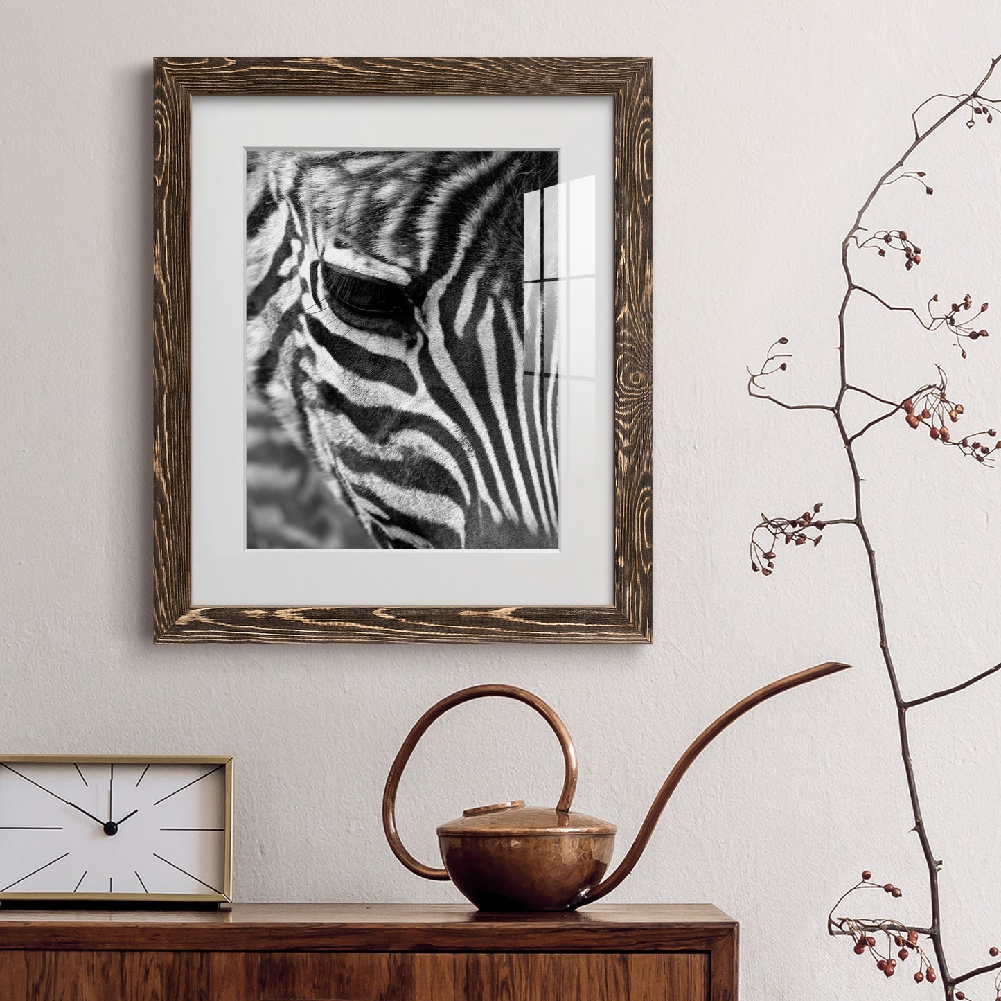 Zebra Colt - Premium Framed Print - Distressed Barnwood Frame - Ready to Hang