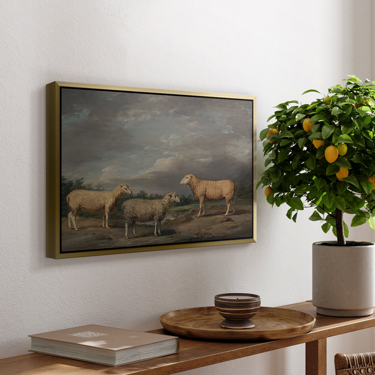 Ryelands Sheep, the King's Ram, the King's Ewe and Lord Somerville's Wether, c. 1801-1807 - Floater Framed Canvas Print