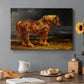 Canvas art print featuring a large shire horse standing prominently in wide open landscape, set in a cozy kitchen setting