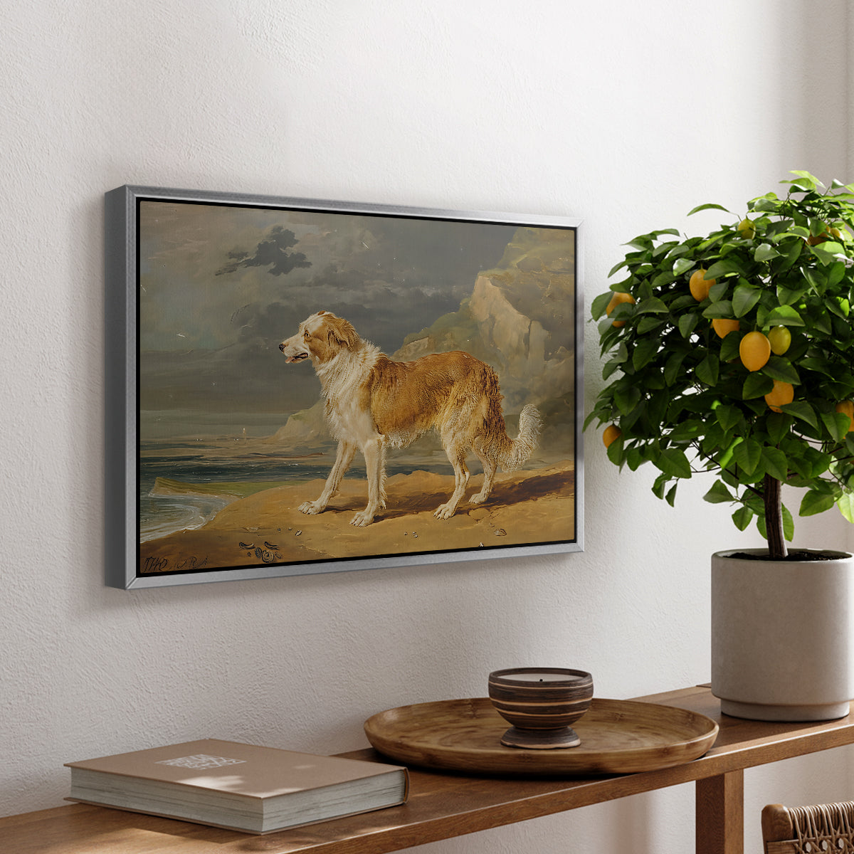Rough-Coated Collie, 1809 - Floater Framed Canvas Print