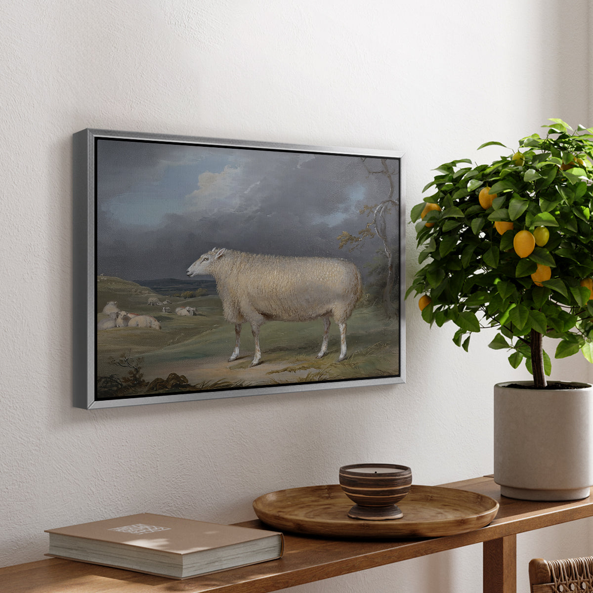 A Border Leicester Ewe, c. 1795-1800 - Floater Framed Canvas Print