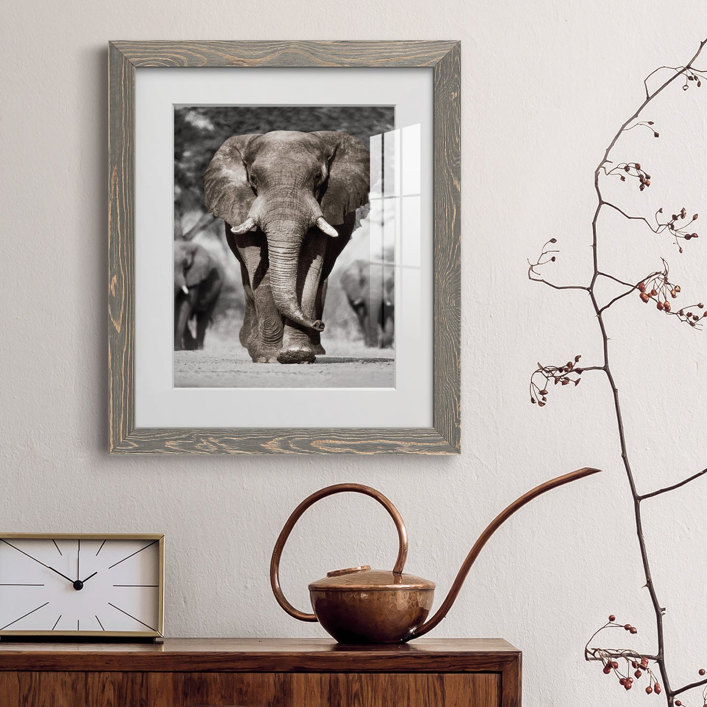 Botswana Patriarch - Premium Framed Print - Distressed Barnwood Frame - Ready to Hang