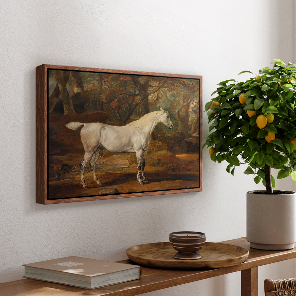 Grey Arabian Stallion, Property of Sir Watkin Williams-Wynn, c. 1817 - Floater Framed Canvas Print