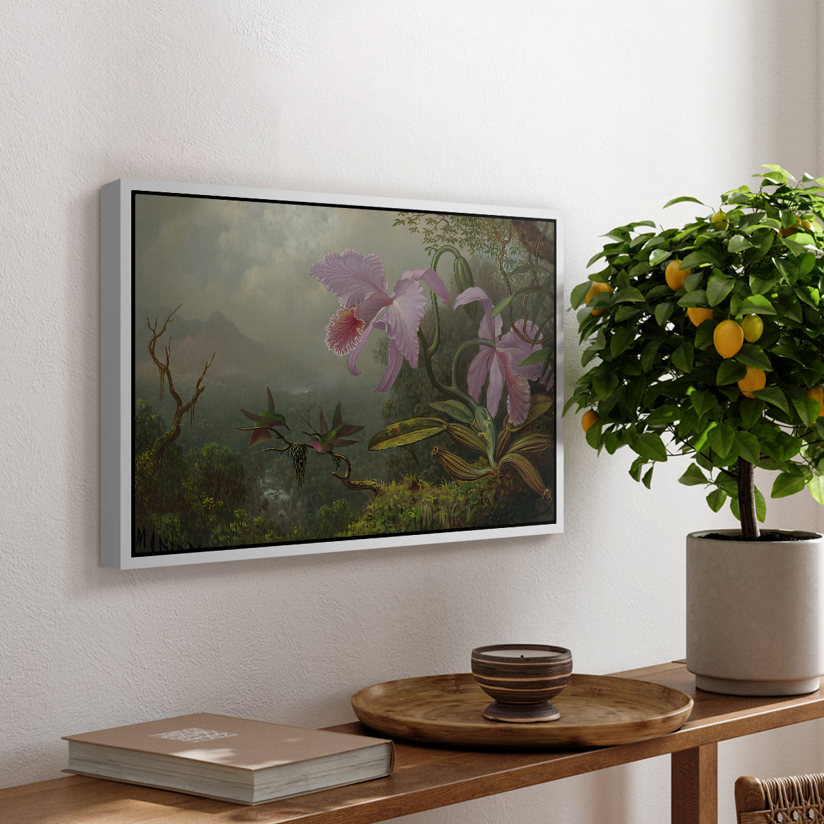 Two Sun Angel Hummingbirds on a Branch, c. 1890-1904 - Floater Framed Canvas Print