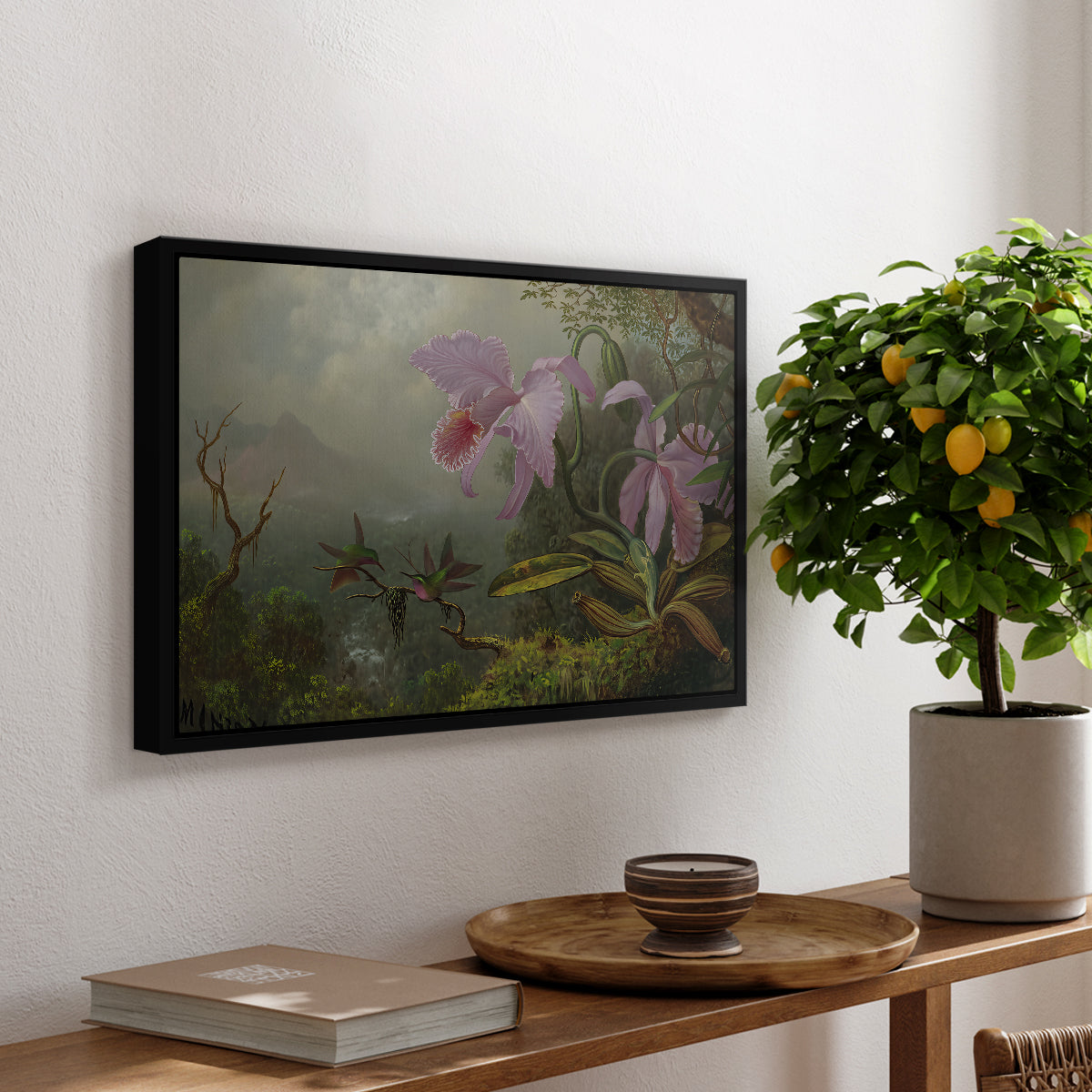 Two Sun Angel Hummingbirds on a Branch, c. 1890-1904 - Floater Framed Canvas Print