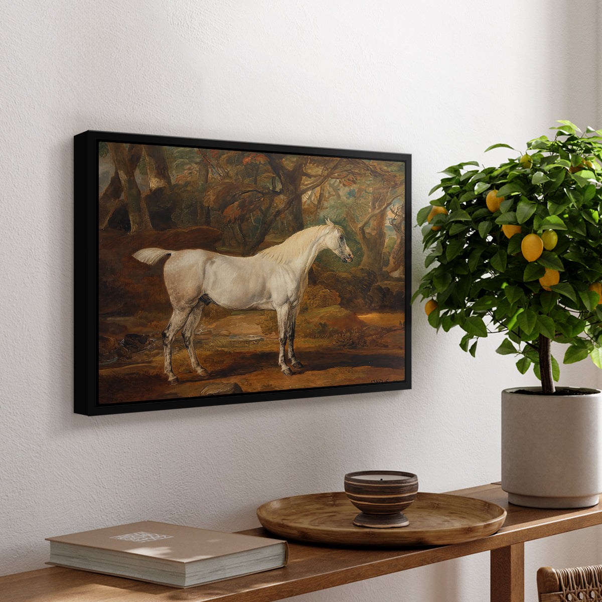 Grey Arabian Stallion, Property of Sir Watkin Williams-Wynn, c. 1817 - Floater Framed Canvas Print