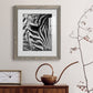 Zebra Colt - Premium Framed Print - Distressed Barnwood Frame - Ready to Hang