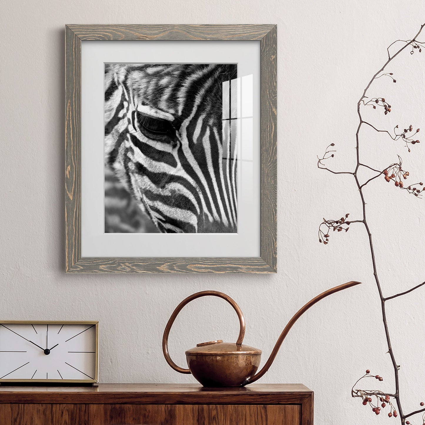 Zebra Colt - Premium Framed Print - Distressed Barnwood Frame - Ready to Hang