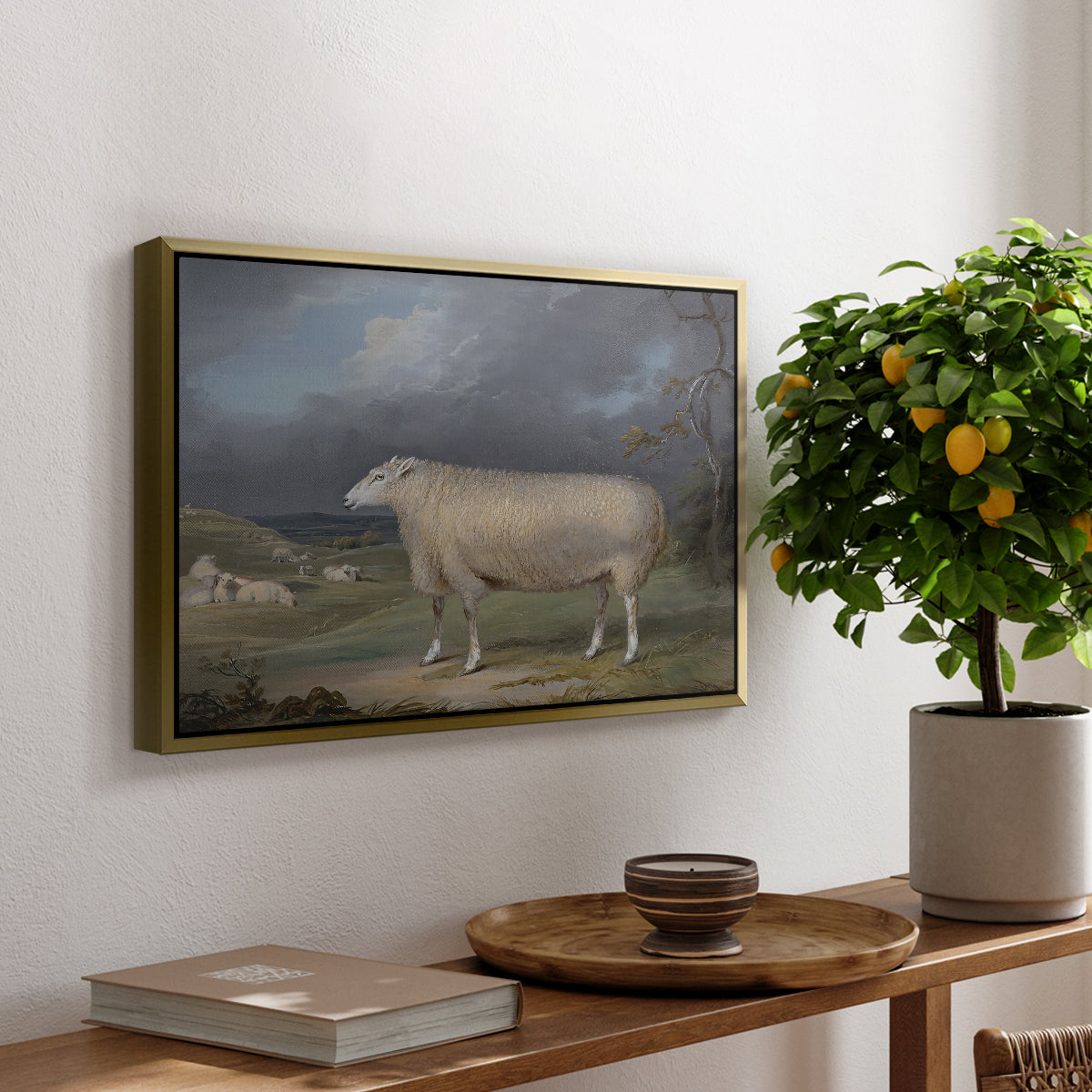 A Border Leicester Ewe, c. 1795-1800 - Floater Framed Canvas Print