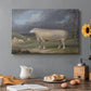 Canvas art print featuring a single sheep standing in open pasture under soft sky, set in a cozy kitchen setting