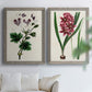 Set of two gray barnwood framed canvas prints depicting detailed blossoms, leaves, roots, and archival cream grounds arranged across two complementary compositions above a sofa in a bright living space.