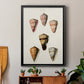 Cone Shell Collection IV - Modern Framed Canvas Print