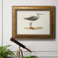 Morris Sandpipers I Premium Framed Canvas- Ready to Hang