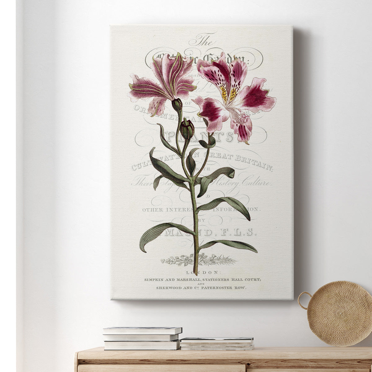 Flower Garden Varietals II - Canvas Art Print