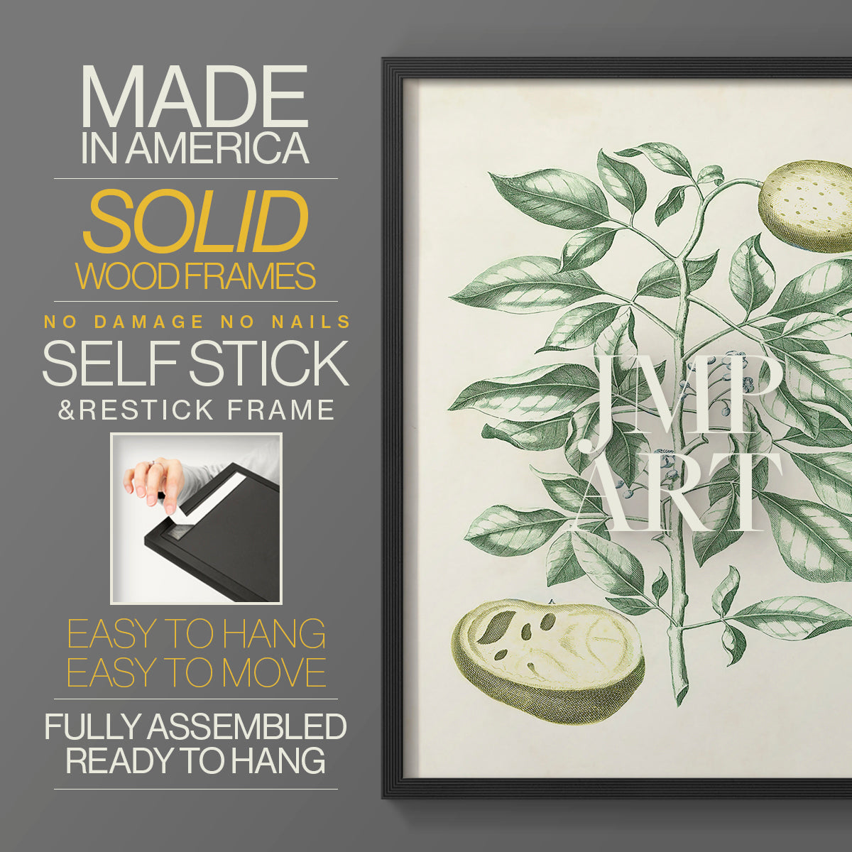 Buchoz Tropicals III - Restickable Framed Art Print