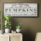 Pumpkin Patch I - Floater Framed Canvas Print