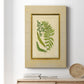 Fern with Crackle Mat (H) II - Canvas Art Print