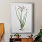 Rose Botanical II - Modern Framed Canvas Print