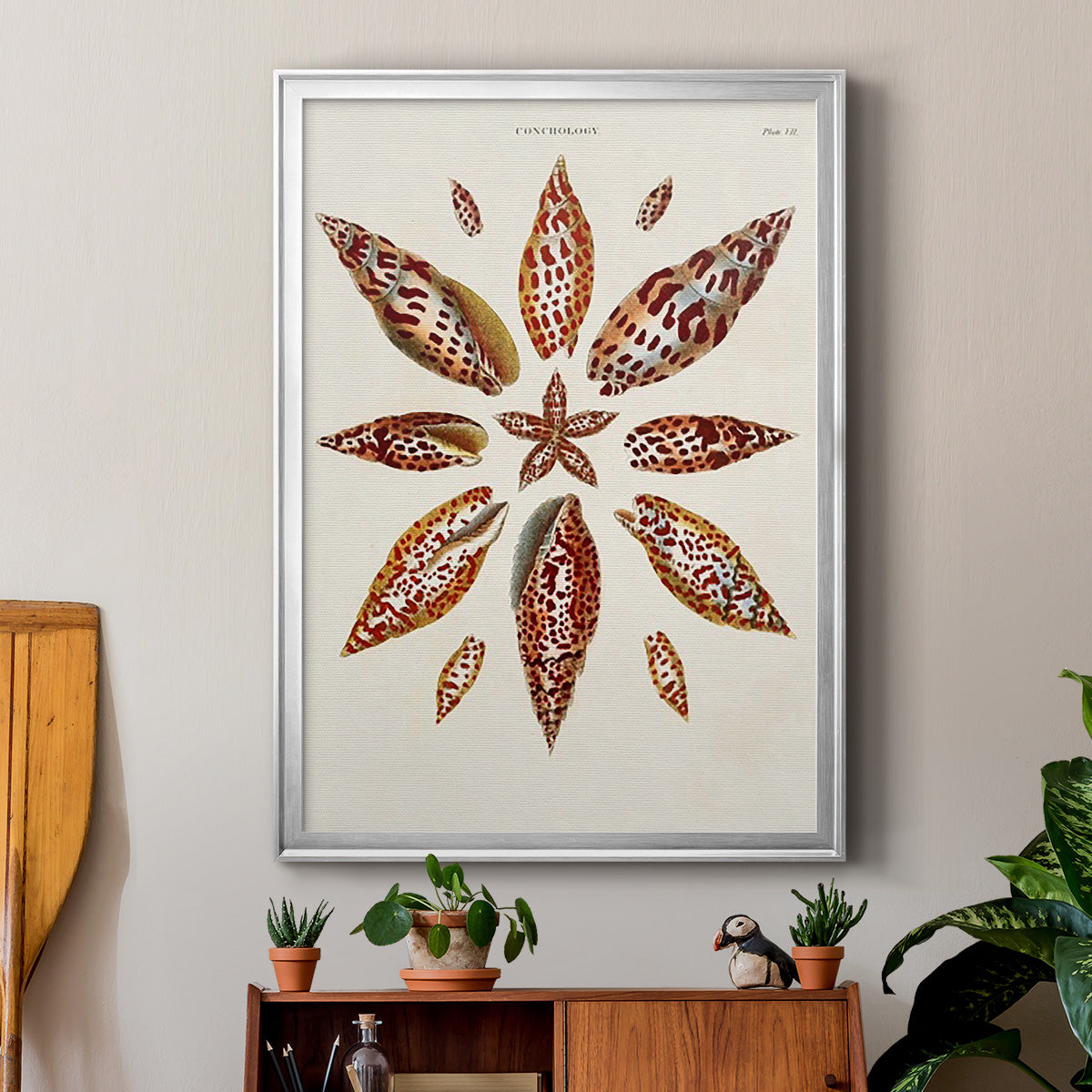 Spiral Shell Formation I - Modern Framed Canvas Print